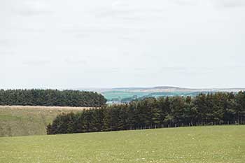 Countryside in Northumberland